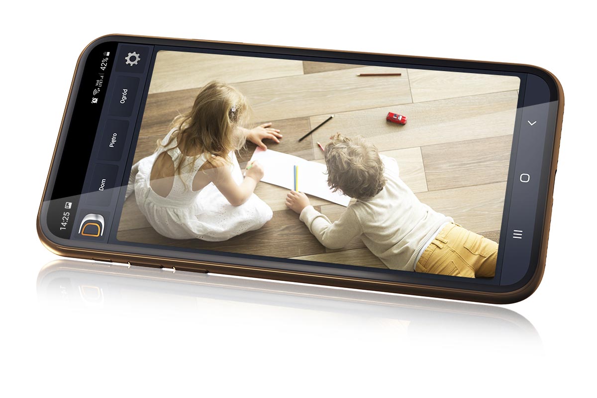 Bezpieczeństwo w inteligentnym domu DEIMIC